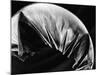 Leaf, Hawaii, c. 1985-Brett Weston-Mounted Photographic Print