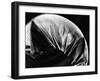 Leaf, Hawaii, c. 1985-Brett Weston-Framed Premium Photographic Print