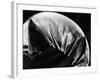 Leaf, Hawaii, c. 1985-Brett Weston-Framed Photographic Print