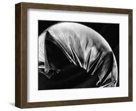 Leaf, Hawaii, c. 1985-Brett Weston-Framed Photographic Print