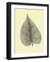 Leaf I-Jasmine Woods-Framed Art Print