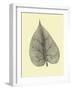 Leaf I-Jasmine Woods-Framed Art Print