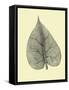 Leaf I-Jasmine Woods-Framed Stretched Canvas