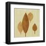 Leaf II-Pyper Morgan-Framed Art Print