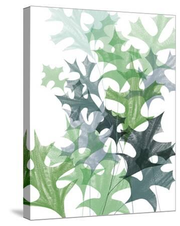  Leaf Impression II Stretched Canvas Print Laure Girardin Vissian 