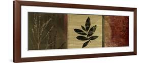 Leaf Impressions II-Andrew Michaels-Framed Premium Giclee Print