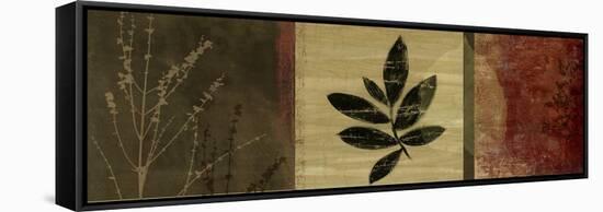 Leaf Impressions II-Andrew Michaels-Framed Stretched Canvas