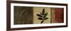 Leaf Impressions II-Andrew Michaels-Framed Art Print