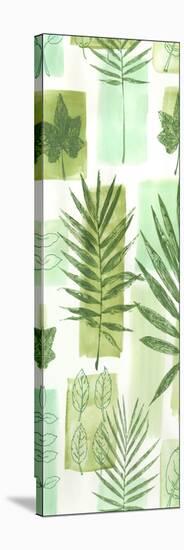 Leaf Impressions V-Vision Studio-Stretched Canvas