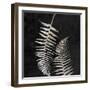 Leaf In The Moment 1-Sheldon Lewis-Framed Art Print