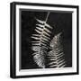 Leaf In The Moment 1-Sheldon Lewis-Framed Art Print