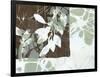 Leaf Inclusion III-Jennifer Goldberger-Framed Art Print