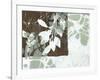 Leaf Inclusion III-Jennifer Goldberger-Framed Art Print