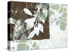 Leaf Inclusion III-Jennifer Goldberger-Stretched Canvas
