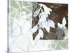 Leaf Inclusion IV-Jennifer Goldberger-Stretched Canvas