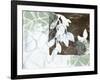 Leaf Inclusion IV-Jennifer Goldberger-Framed Art Print