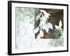 Leaf Inclusion IV-Jennifer Goldberger-Framed Art Print