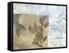 Leaf Inclusion V-Jennifer Goldberger-Framed Stretched Canvas