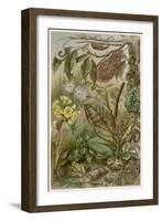 Leaf Insects-null-Framed Art Print