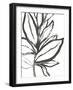 Leaf Instinct I-June Vess-Framed Art Print