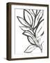 Leaf Instinct II-June Vess-Framed Art Print