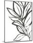 Leaf Instinct II-June Vess-Mounted Art Print
