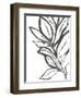 Leaf Instinct II-June Vess-Framed Art Print