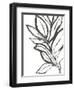 Leaf Instinct II-June Vess-Framed Art Print