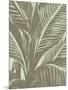 Leaf, no. 11-Botanical Series-Mounted Giclee Print
