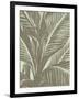 Leaf, no. 11-Botanical Series-Framed Giclee Print