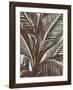 Leaf, no. 18-Botanical Series-Framed Giclee Print