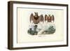 Leaf-Nosed Bats, 1863-79-Raimundo Petraroja-Framed Giclee Print