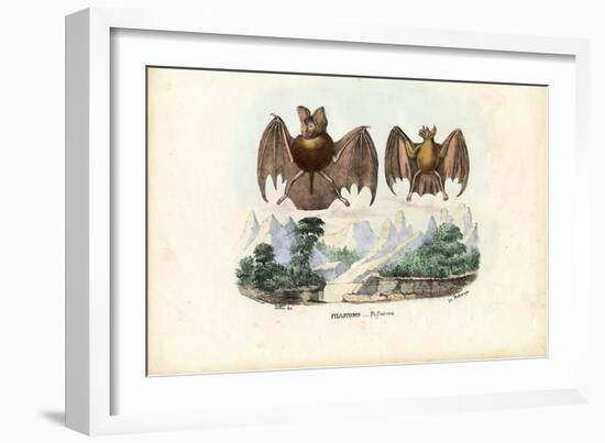 Leaf-Nosed Bats, 1863-79-Raimundo Petraroja-Framed Giclee Print