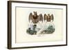 Leaf-Nosed Bats, 1863-79-Raimundo Petraroja-Framed Giclee Print