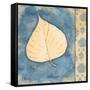 Leaf Oasis II-Paul Brent-Framed Stretched Canvas