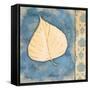 Leaf Oasis II-Paul Brent-Framed Stretched Canvas