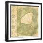 Leaf Oasis III-Paul Brent-Framed Art Print