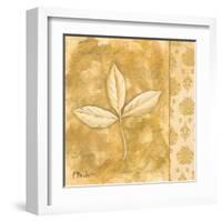 Leaf Oasis IV-Paul Brent-Framed Art Print