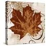 Leaf of the Day I-Michael Marcon-Stretched Canvas