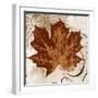 Leaf of the Day I-Michael Marcon-Framed Art Print