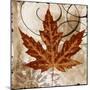 Leaf of the Day II-Michael Marcon-Mounted Art Print