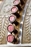 A Steampunk Style Retro Choke Knob - Shallow Depth Of Field-leaf-Photographic Print