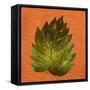 Leaf on Teal Burlap-Elizabeth Medley-Framed Stretched Canvas