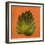 Leaf on Teal Burlap-Elizabeth Medley-Framed Art Print