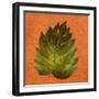 Leaf on Teal Burlap-Elizabeth Medley-Framed Art Print