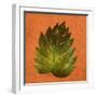 Leaf on Teal Burlap-Elizabeth Medley-Framed Art Print