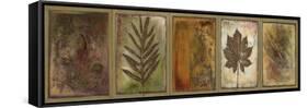 Leaf Panel II-Patricia Pinto-Framed Stretched Canvas