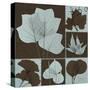 Leaf Patch Work 2-Albert Koetsier-Stretched Canvas
