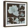 Leaf Patch Work 2-Albert Koetsier-Framed Art Print