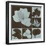 Leaf Patch Work 2-Albert Koetsier-Framed Art Print